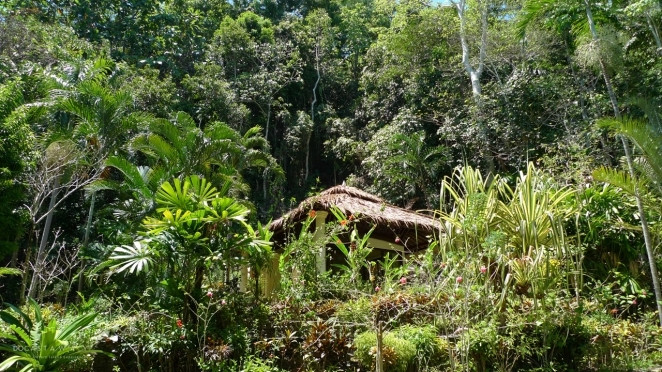 Isla Tazi Filipinas Aventura Amazonia.jpeg
